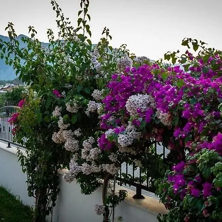 Agva Kemer