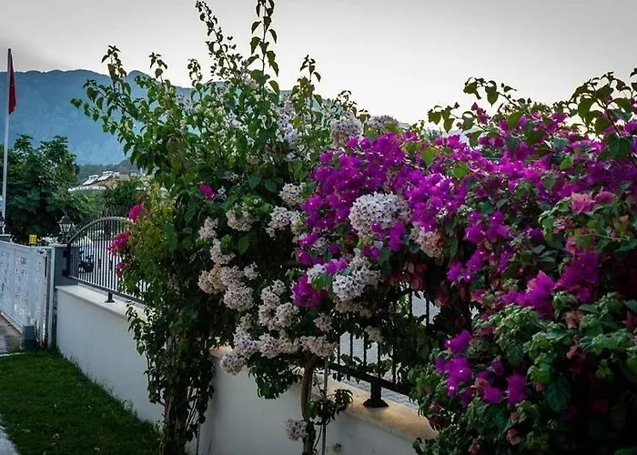 Agva Kemer